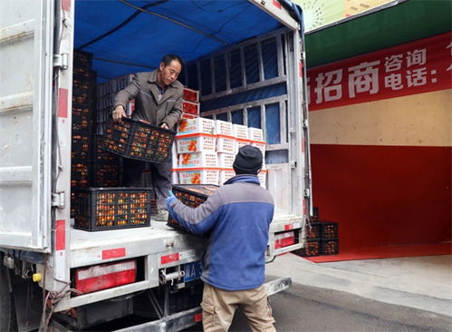 觀山湖即將開業 水果與奶制品批發及進出口一站式交易中心