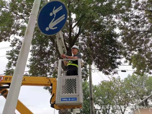 守護城市動脈 大風來襲，石河子市政工人緊急加固交通指示牌